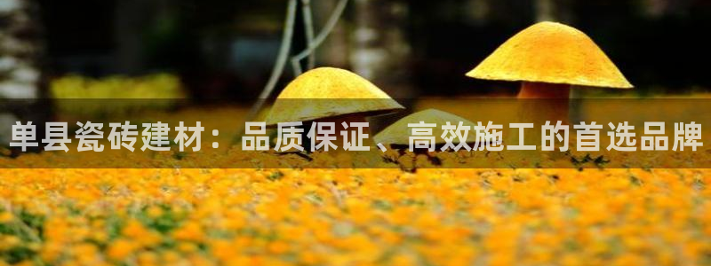 杏鑫平台正规吗