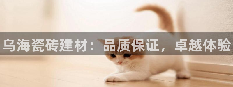 杏鑫平台招商电话