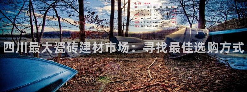 杏鑫有亏损返点吗