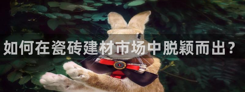 杏鑫代理注册登录