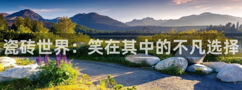 杏鑫平台登录地址