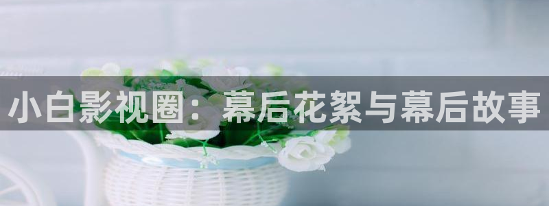 真不卡影院我不卡：小白影视圈：幕后花絮与幕后故事
