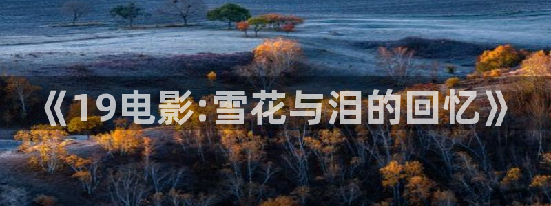 真不卡影院网站：《19电影:雪花与泪的回忆》