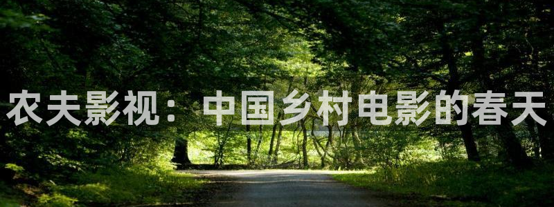 狂飙电视剧全集免费播放真不卡影院：农夫影视：中国乡村电影的春天