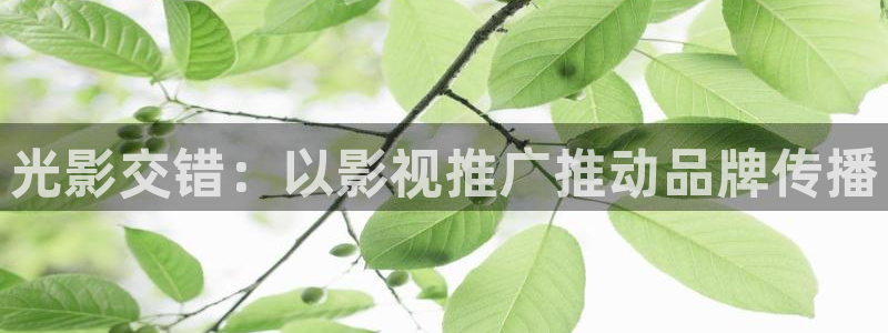 .真不卡影院：光影交错：以影视推广推动品牌传播