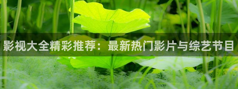 真不卡影院伦理：影视大全精彩推荐：最新热门影片与综艺节目