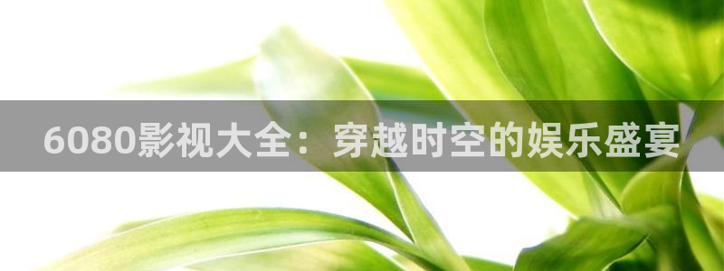 真不卡影院伦理：6080影视大全：穿越时空的娱乐盛宴