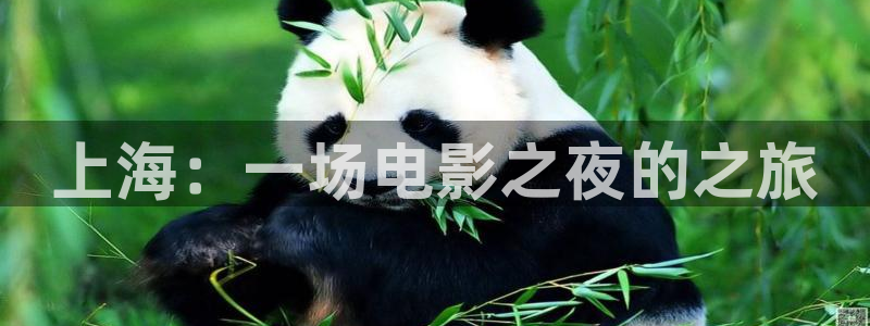 真不卡影视网站：上海：一场电影之夜的之旅