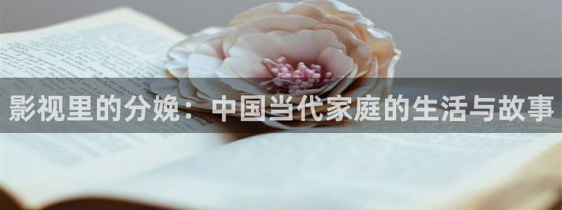 狂飙电视剧全集免费播放真不卡影院：影视里的分娩：中国当代家庭的生活与故事