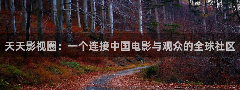 www.真不卡影院：天天影视圈：一个连接中国电影与观众的全球社区