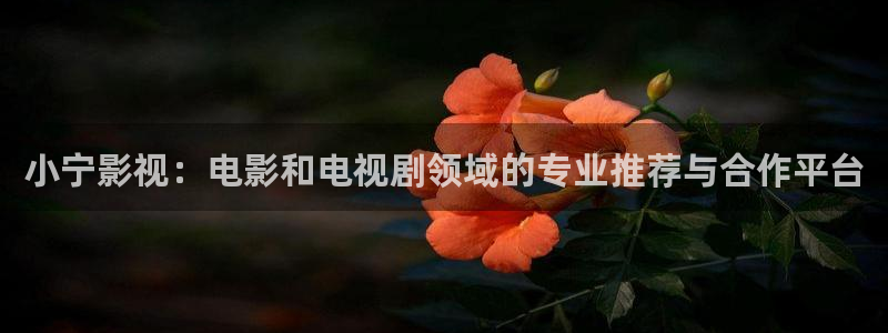 真不卡影院吧：小宁影视：电影和电视剧领域的专业推荐与合作平台
