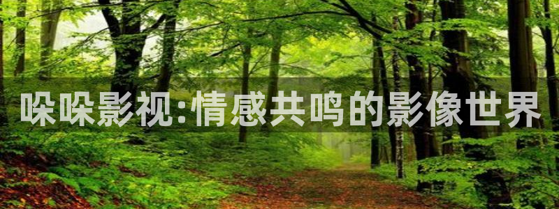 真不卡影视在线：哚哚影视:情感共鸣的影像世界